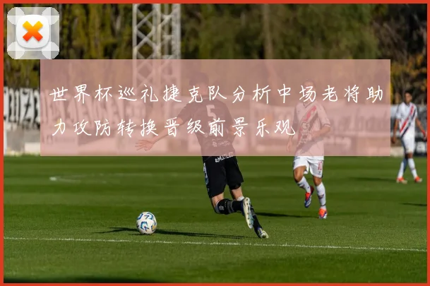 世界杯巡礼捷克队分析中场老将助力攻防转换晋级前景乐观